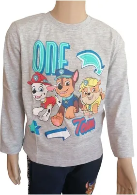 Produktbild von Jungen Langarm-Shirt PAW Patrol „One Team“, 100 % Baumwolle, grau,104