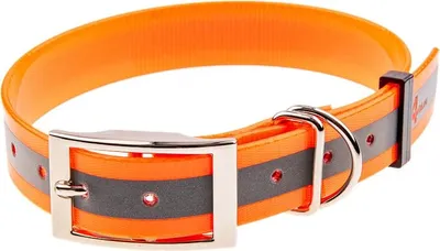 Immagine prodotto di Obroża odblaskowa wodoodporna 4wild 20 mm 27-41 cm