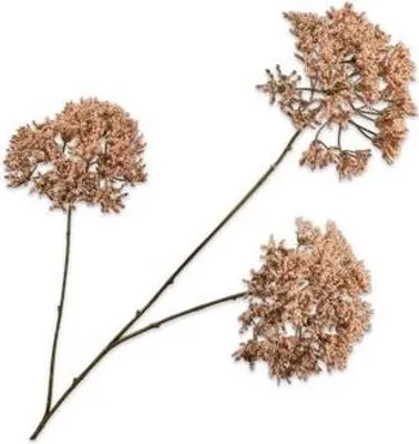 Produktbild von Silk-ka Kunstblume - Seidenblume - Kunstzweig Trachelium Creme-Braun 85 cm