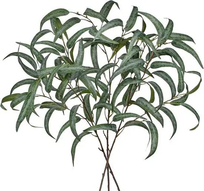 Produktbild von Kunststof Eucalyptus-Grünanlage, 3 Stück, 86 cm, grün, für Frühjahr, Wohnzimmer, Hauswarming