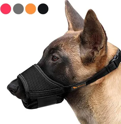 Produktbild von HEELE Nylon-Maulkorb Für Hunde, Verstellbare Schlaufe, Atmungsaktiv, Sicherer, Schneller Sitz Für Kleine, Mittelgroße Hunde, Verhindert Das Beißen, Kauen Und Bellen (XL, schwarz)