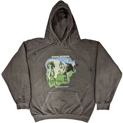 Produktbild von Pink Floyd Atom Heart Mother Fade Charcoal Grey M Hoodie