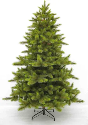 Image de Triumph Tree Arbre de Noël artificiel Wyoming - 165x165x230 cm - PVC - Vert