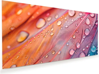 Produktbild von Glasbild 100x50cm in XXL für Wohnzimmer, Schlafzimmer Motiv Wassertropfen auf Federn