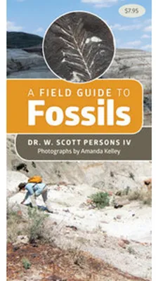 Produktbild von A Field Guide to Fossils