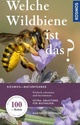 Image de Welche Wildbiene ist das?