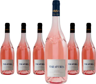 Produktbild von 6 x Tormaresca Calafuria Rosé Negroamaro Salento IGT