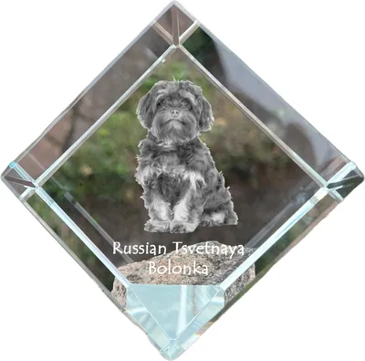 Immagine prodotto di Bolonka dado di cristallo con cane Art-Dog
