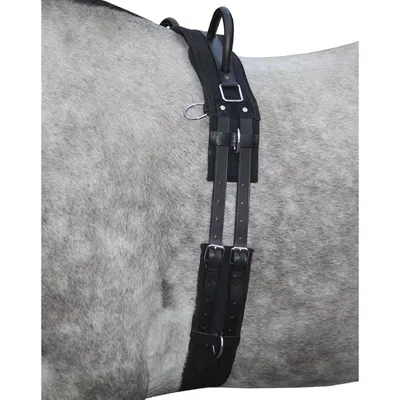 Produktbild von HKM Longiergurt mit Doppelgriff Canvas Schwarz Minishetty