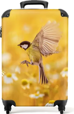 Obrázek produktu pro NoBoringSuitcases.com® Kufr Příruční zavazadlo na kolečkách Kufr na kolečkách Malý cestovní kufr na 4 kolečkách - Bird - Flowers - Daisies - Yellow - Summer - Cabin Size < 55x40x23 cm & 55x40x20 cm - Foto kufr - Cabin suitcase - Board luggagePříruční zavazadlo Kufr 55x35x20 cm, 36L,