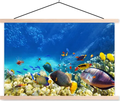 Produktbild von MuchoWow® Textilposter Meer - Fische - Korallen - Unterwasserwelt 60x40 cm mit holzfarbenen Rahmen - Bilder