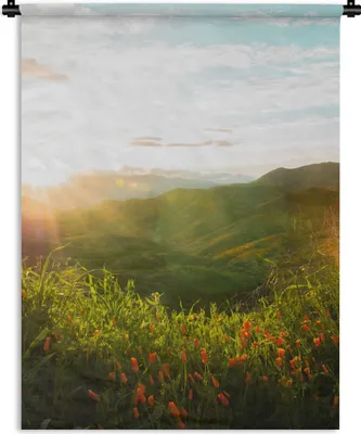 Produktbild von MuchoWow® Wandteppich Wandbehang Hügel - Sonnenuntergang - Gras - Grün 150x200 cm Tapisserie Dekoration Wandtuch - Wandaufhängung - Moderner