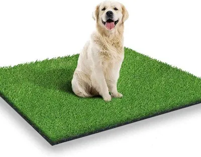 Immagine prodotto di Tappetino antisporco 80 x 100 cm per cani - Per interni ed esterni - Addestramento cani - Arredamento da terrazza