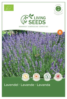 Produktbild von Lavendel 4.1g Saatgut von Living Seeds