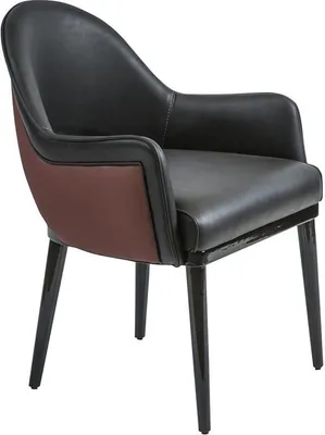 Produktbild von Schwarz Stuhl mit Armlehnen Modern Esszimmer Luxus Einrichtung Polstersitz