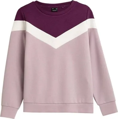 Produktbild von 4F Sweatshirts BLD025, H4Z21BLD02552S, Größe: 174