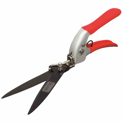 Produktbild von SIENA GARDEN Rasenkantenschere H22891