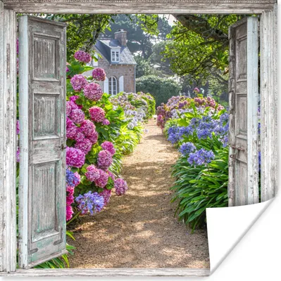 Produktbild von MuchoWow® Poster Durchblick - Hortensie - Blumen 50x50 cm - Wohnzimmerdekoration