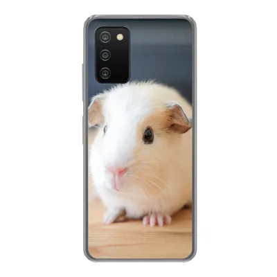 Produktbild von MuchoWow® Handyhülle Schutzhülle Hülle für Samsung Galaxy A03s Niedliches Baby-Meerschweinchen Silikon Softcase Handy Hülle - Schutz