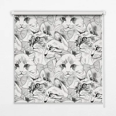 Produktbild von Seitenzug-Rollo Fensterrollo Jalousie - Lichtdurchlässig Springrollos - 90x180 cm - Gezeichnete Katzen