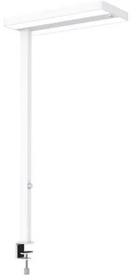 Image de MAUL lampe à poser MAULjuvis LED 4.000 K dimmable pied à pince 120 cm blanc