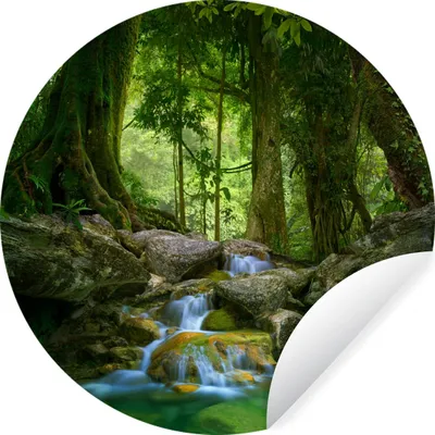 Produktbild von MuchoWow® Runde Wandtattoo - Wandsticker Tapete Aufkleber Dschungel - Steine - Wasser - Natur - Pflanzen Ø 100 cm Selbstklebend und Repositionierbar - Wandaufkleber - Kreis - Tapetenkreis - Wandbild rund - Schlafzimmerdekoration - Wanddeko - runde Tapete - Kunst für zu Hause