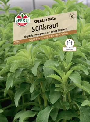 Produktbild von Sperli Saatgut Süßkraut für ca. 8 Pflanzen