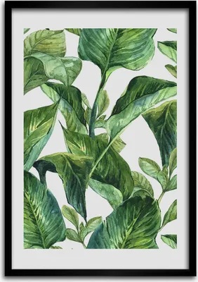 Produktbild von Bild - Bilderrahmen - 50 cm x 70 cm - MDF - Rahmen - Wandkunst Tropische Blätter