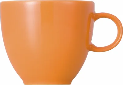 Produktbild von Thomas 10850-408505-14722, 0,08 l, Porzellan, Sunny Day, 50 mm, 6 cm