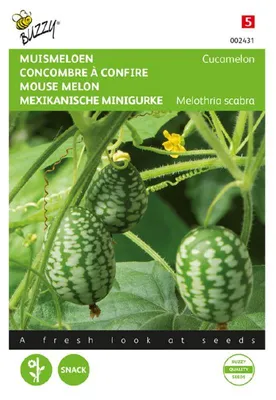 Produktbild von Buzzy Mexikanische Minigurke Cucamelon