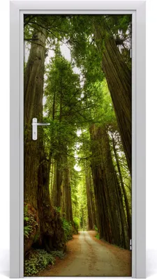 Produktbild von Tulup Türaufkleber 85x205 cm Dekorative Aufkleber Selbstklebend Wasserdichte Tapete Abnehmbar Schlafzimmer Wohnzimmer Wohnkultur - Weg im Wald