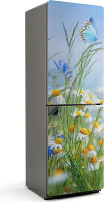 Zdjęcie produktu dla Motyl na tle łąki - osłona magnetyczna na lodówkę - folia dekoracyjna magnetyczna do kuchni - magnes na lodówkę - samoprzylepna tablica magnetyczna - folia magnetyczna na drzwi lodówki - 60x180 cm