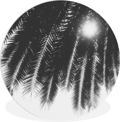 Produktbild von MuchoWow® Rundes Wandbild - Runde Bilder Palmenblätter - Tropisch - Sonne - Palme Ø 60 cm Kreis Wanddekoration Kunststoff - Wandkreis - Wandschmuck - Wand Kreis - Das Schlafzimmer - Die Bilder - Wandmalerei - Kunst für das Haus - das Plastik