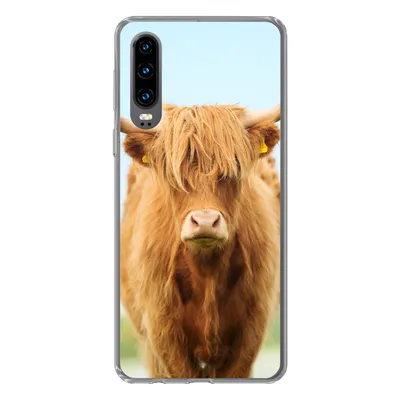 Produktbild von MuchoWow® Handyhülle Schutzhülle Hülle für Huawei P30 Schottischer Highlander - Haare - Gras Silikon Softcase Handy Hülle - Kartenbesitzer