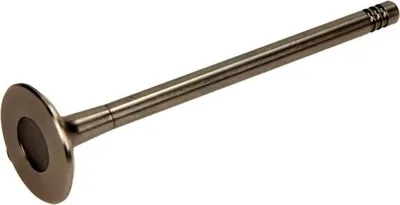 Obrázek produktu pro Výfukový Ventil Opel 1.4/1.6 16V