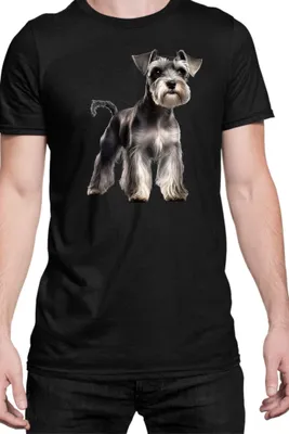 Produktbild von Herren T-Shirt Dogs Breeds Miniature Schnazuer Dog Breed 005, Man 5XL / Schwarz