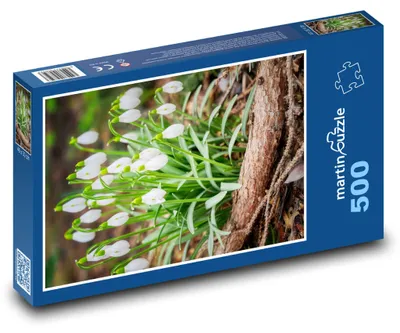 Obrázek produktu pro Puzzle 500 Sněženky - jarní květiny - martinpuzzle