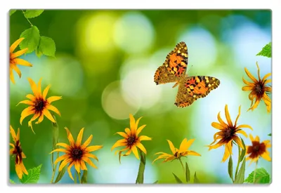 Produktbild von Wallario Frühstücksbrettchen aus Glas 20 x 30 cm mit rutschfesten Füßen, Motiv Blumen mit Schmetterling