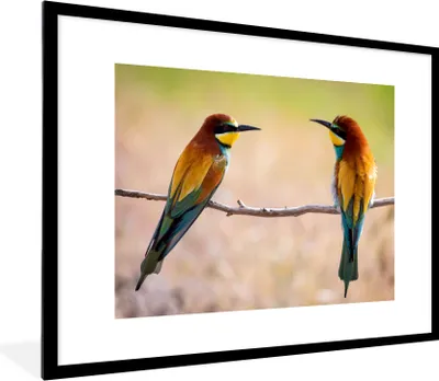 Produktbild von MuchoWow® Gerahmtes Poster Vögel - Bienenfresser - Tiere 80x60 cm - Poster mit Schwarzem Bilderrahmen Wandposter Rahmen Foto Bilder - Schlafzimmer-Dekorationen - Fotoposter