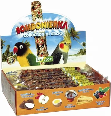Zdjęcie produktu dla Nestor Bombonierka dla średnich papug