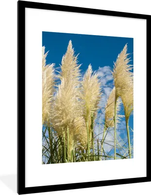 Produktbild von MuchoWow® Gerahmtes Poster Pampasgras - Pflanze - Natur 60x80 cm - Poster mit Schwarzem Bilderrahmen Wandposter Rahmen Foto Bilder - Wohnzimmer - Dekorationen - Prämie