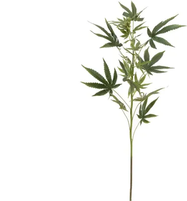 Produktbild von artplants.de Künstlicher Hanfzweig AKASYA, grün, 90cm - Kunststoff Zweig
