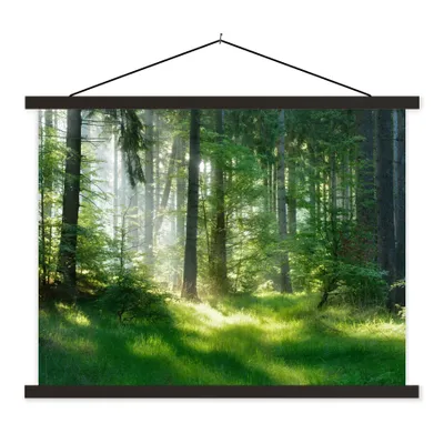 Produktbild von MuchoWow® Textilposter Natur - Bäume - Wald - Grün - Sonne - Gras - Pflanzen 60x45 cm mit schwarzem Rahmen - Poster Schlafzimmer