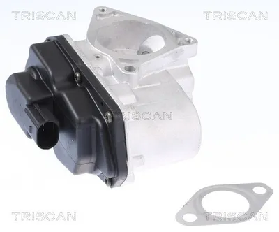 Produktbild von TRISCAN 8813 29003 AGR-Ventil mit Dichtungen für VW GOLF VI (5K1) Abgasrückführungsventil