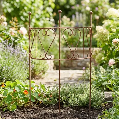 Produktbild von Rost Rankgitter "Staudenhalter" 41x20xH72cm
