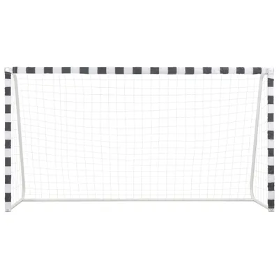 Produktbild von vidaXL Fußballtor 300x160x90 cm Metall Schwarz und Weiß