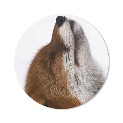 Produktbild von MuchoWow® Mauspad Mousepad Fuchs - Nase - Weiß 20x20 cm - Mousepads - Maus Mat - Pad - Mausunterlage - Schreibtischmatte
