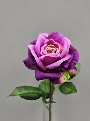 Produktbild von artplants.de Kunstrose WINAKAS, violett, 40cm - Künstliche Rosenblüte