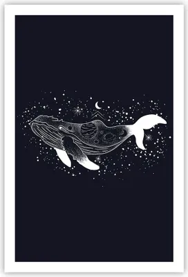 Produktbild von Poster - Poster ohne Rahmen - Wal Schwarzweiß Grafik - 61x91,5 cm - Wand Bild - Wanddeko - Wandbilder - Kunstposter - Wandposter - Bilder - Kunstdruck - Wanddekoration - Wandbild - P2XPA61x91-4870