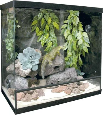 Produktbild von Famanu Terrarium Set aus Glas für Reptilien und kleine Tiere - 75 Liter